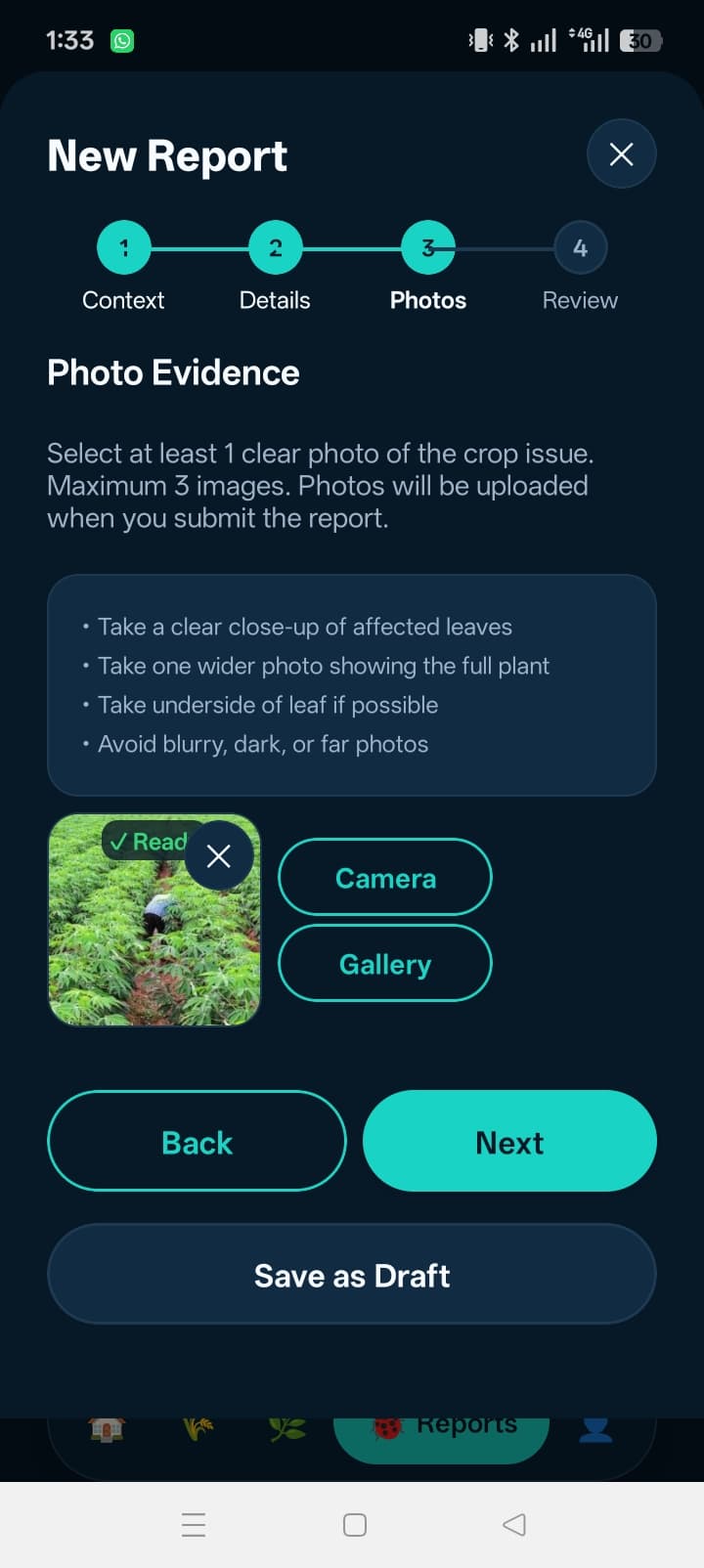 AgroGuard — Report Wizard — Review